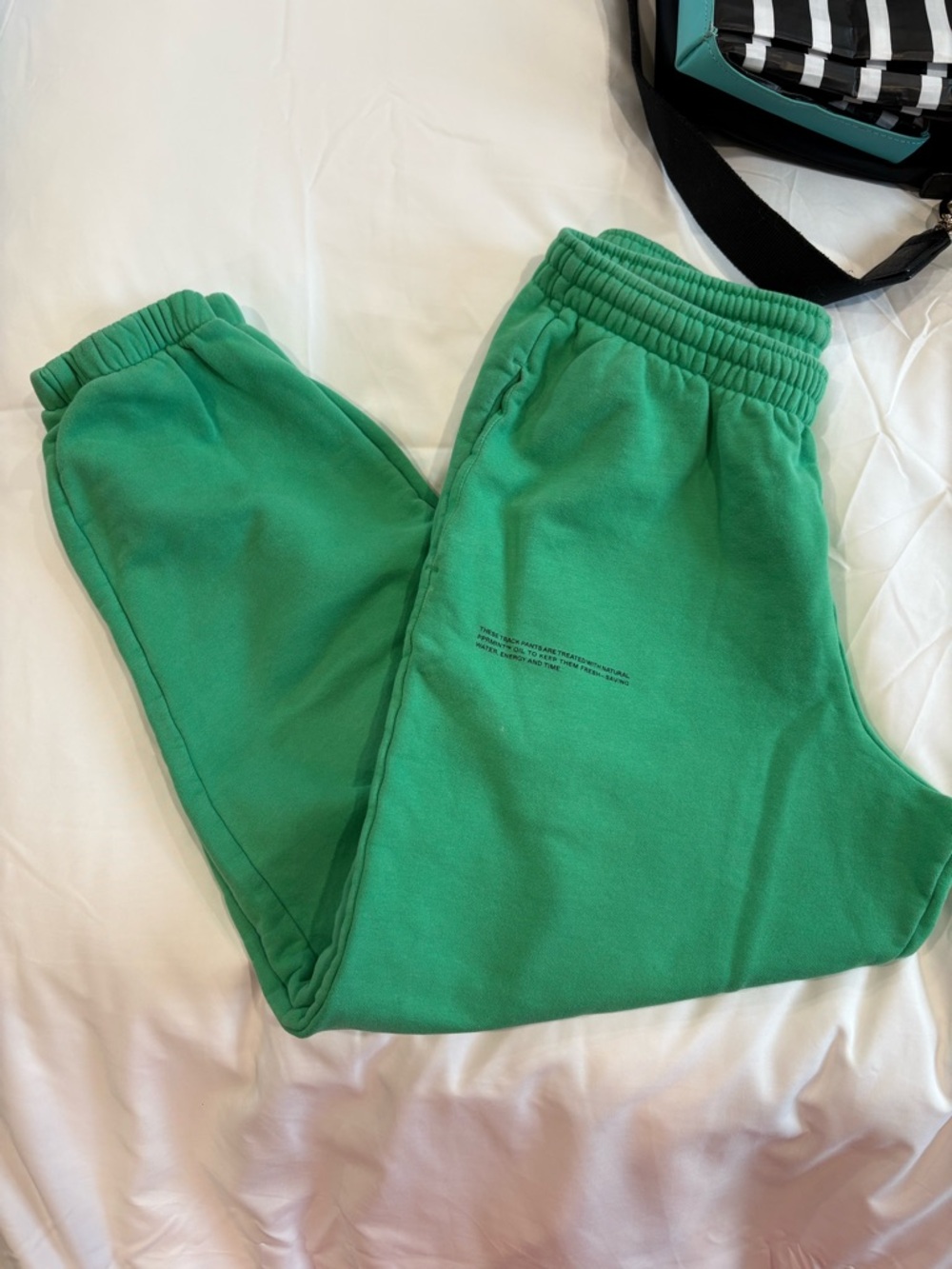 Pangaia sweatpants